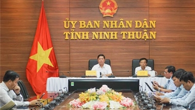 Conference to collect comments on the draft Government Report on the results of reviewing the system of legal documents