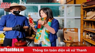 "បន្ទះចាប់ផ្តើមមាស" សម្រាប់ការចាប់ផ្តើមអាជីវកម្មថ្មីៗ