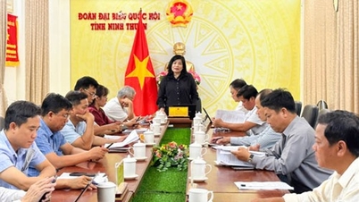 Conference to collect comments on the draft Law on Real Estate Business (amended)