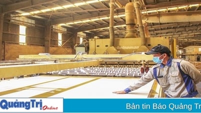 Chú trọng nâng cao chất lượng nguồn nhân lực cho doanh nghiệp
