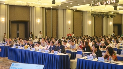 Gần 700 chuyên gia, nhà khoa học, bác sĩ tham gia Hội nghị khoa học “Ghép màng ối điều trị các bệnh lý bề mặt nhãn cầu” tại Hải Phòng