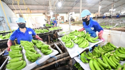 Giảm thuế thu nhập hỗ trợ doanh nghiệp