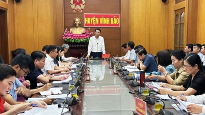 ត្រួតពិនិត្យការអនុវត្តបទប្បញ្ញត្តិ យន្តការ និងគោលនយោបាយក្នុងការគ្រប់គ្រង និងអភិវឌ្ឍន៍ឧស្សាហកម្មនៅចង្កោមឧស្សាហកម្ម Tan Lien ស្រុក Vinh Bao។