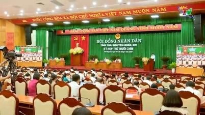 第19回省人民評議会会議で37件の報告書と提出書類を検討し議論する
