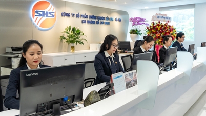 ក្រុមហ៊ុន​មូលបត្រ​មួយ​បាន​លាយ​បញ្ចូល​លុយ​អតិថិជន​ដែល​បាន​បំពាន​នៅ​ពេល​ធ្វើ​ប្រតិបត្តិការ​រាប់ពាន់​លាន​ជាមួយ SHB