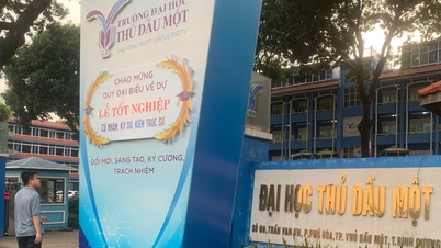 Trường đại học hoàn trả 21 tỷ đồng thu sai của cựu sinh viên