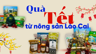https://baolaocai.vn/qua-tet-tu-nong-san-lao-cai-post396547.html
