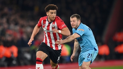 Comentarios, predicciones Southampton vs Newcastle: Destruir al equipo local