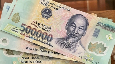 Dropping all his money to go home for Tet, male bricklayer receives a surprise