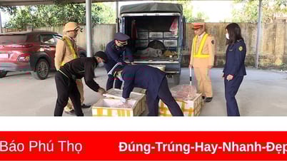 ការផាកពិន័យជាង 1 ពាន់លានដុងសម្រាប់ការរត់ពន្ធ និងការក្លែងបន្លំពាណិជ្ជកម្ម ការរំលោភបំពានមុនចូលឆ្នាំ 2025