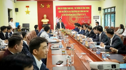 អនុរដ្ឋមន្ត្រី Truong Thanh Hoai ត្រួតពិនិត្យការងារសុវត្ថិភាពក្នុងសកម្មភាពអាជីវកម្ម និងកែច្នៃរ៉ែ ...