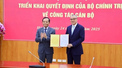 Phu Yen Provincial Party Secretary Pham Dai Duong appointed Deputy Head of the Central Economic Commission