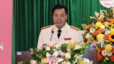 Đại tá Lê Văn Đàm làm Phó Cục trưởng Cục Cảnh sát điều tra tội phạm về ma túy