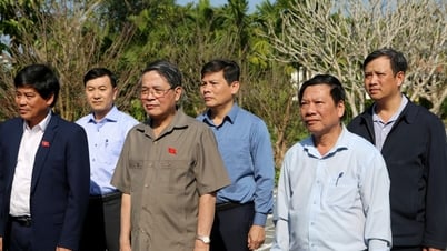 អនុប្រធានរដ្ឋសភា លោក Nguyen Duc Hai បានអញ្ជើញទៅសួរសុខទុក្ខ និងជូនអំណោយនៅគេហដ្ឋានរំលឹកវិញ្ញាណក្ខន្ធប្រធានក្រុមប្រឹក្សារដ្ឋ លោក Vo Chi Cong។