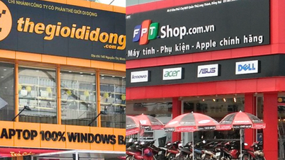 Thế giới Di động và FPT Retail đón tin vui ngay sát Tết