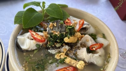 សម្លម្ជូរ​ដែល​ម៉ាក់​ចម្អិន​ឆ្ងាញ់​ណាស់ គាត់​ហៅ​ខ្ញុំ​ដោយ​សំដី​បស្ចិម​ប្រទេស​សុទ្ធ