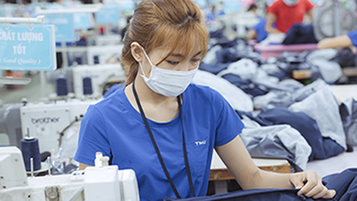 Công ty may có 'bố là chủ tịch, con làm tổng giám đốc' báo lãi kỷ lục