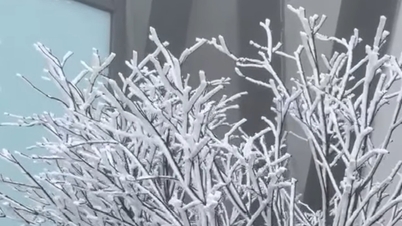 Sa Pa temperature drops to -2 degrees Celsius, Fansipan peak covered in white snow