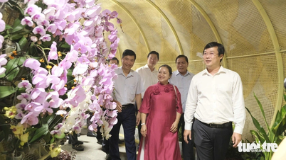 Đồng Tháp khai mạc đường hoa, khách hào hứng check-in với linh vật Tỵ
