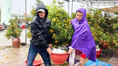 Mưa gió quật tơi tả chợ hoa, tiểu thương lo 'mất Tết'