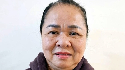 Prosecution of Chairman of Hai Ha Company for causing damage to the State of more than 317 billion VND