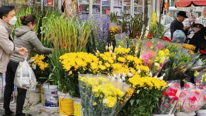Markt am 27. Tet, Lebensmittelpreise sind stabil, Kaufkraft steigt