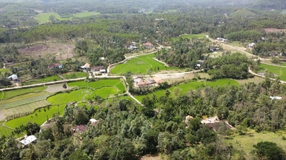 Tien Phuoc រីកចម្រើនគួរឲ្យចាប់អារម្មណ៍