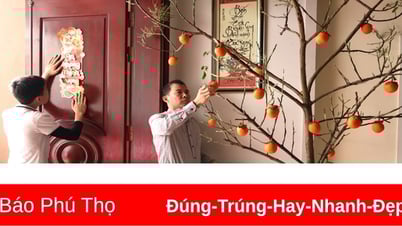 Trang hoàng nhà cửa đón Xuân sang