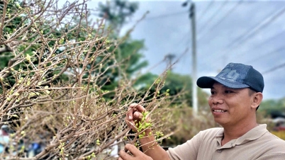 អាកាស​ធាតុ​មិន​ទៀង​ ផ្កា​អាព្រីត​តិច​តួច​ អ្នក​លក់​ព្រួយ​បារម្ភ​ខ្លាច​បាត់​ចំណូល​ក្បែរ​តេត