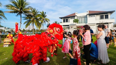 Khách du lịch đến Nha Trang dịp Tết Nguyên đán 2025 dự kiến tăng cao