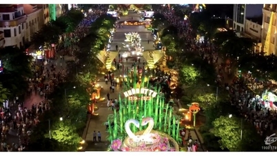 ទីក្រុងហូជីមិញ បើកផ្លូវផ្កាង្វៀន ហឿ សម្រាប់ឆ្នាំពស់ឆ្នាំ២០២៥