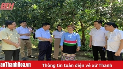 សាបព្រួសជំនឿ និងក្តីសង្ឃឹមដល់គ្រួសារក្រីក្រ និងគ្រួសារគោលនយោបាយ