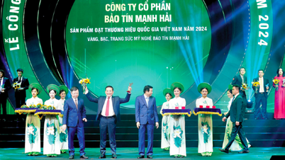 Bao Tin Manh Hai - ដំណើរឆ្ពោះទៅដណ្តើមយកម៉ាកយីហោជាតិវៀតណាមឆ្នាំ 2024