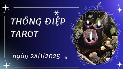 Thông điệp Tarot ngày 28/1/2025 cho 12 cung hoàng đạo: Kim Ngưu bốc lá...