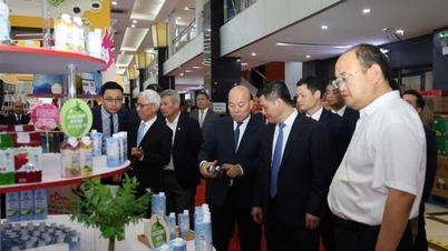 Chuyện bây giờ mới kể