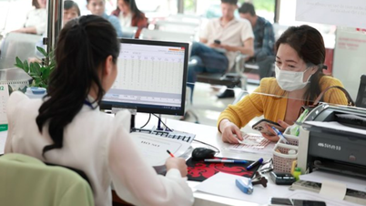 6 General Departments from the Ministry of Finance, Planning and Investment to the Department level