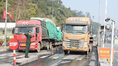 Temporarily suspend customs clearance of goods through Lang Son border gates