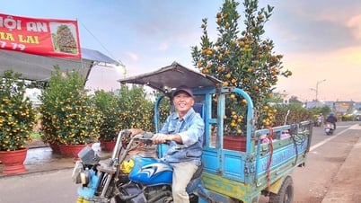 Hối hả những chuyến xe chở hoa Xuân