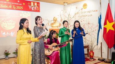 បរិយាកាស Tet ដ៏អ៊ូអរនៅស្ថានទូតវៀតណាមជុំវិញពិភពលោក
