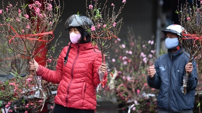 Hanoi weather for the next 3 days: Peak cold until the first day of Tet, lowest 9 degrees Celsius