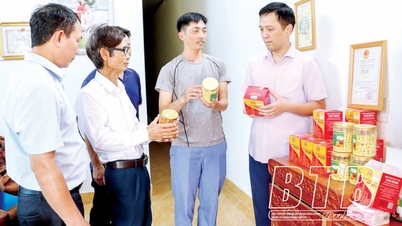 និទាឃរដូវមកដល់គំរូកសិកម្មបច្ចេកវិទ្យាខ្ពស់។