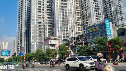 "Online market" on 29th of Tet is still bustling with real estate sales