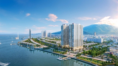 Der Immobilienmarkt in Da Nang erholt sich positiv, eine Reihe neuer Projekte konkurrieren um den Start