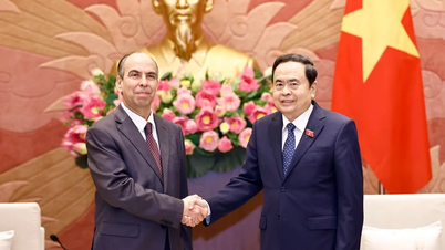 Ambassadors of countries share feelings about Vietnamese New Year