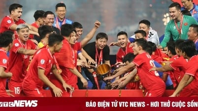 Bóng đá Việt Nam năm 2024: Từ thất vọng đến ngôi vương ASEAN Cup