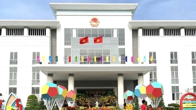 Soc Trang opens the provincial People's Committee headquarters to welcome visitors on the occasion of Lunar New Year