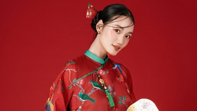 ពណ៌ Ao Dai ពិសេសមិនអាចខ្វះបានសម្រាប់ថ្ងៃបុណ្យ Tet