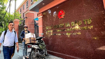 Đề nghị có cơ chế đặc thù giao đất, cho thuê đất thu hút các nhà đầu tư giáo dục