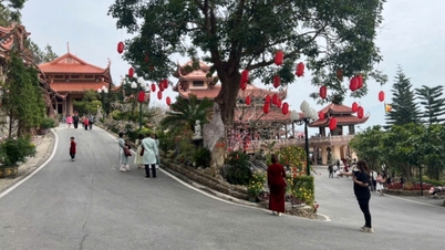 Cai Bau Pagoda - A spiritual tourist destination attracting visitors at the beginning of the new spring