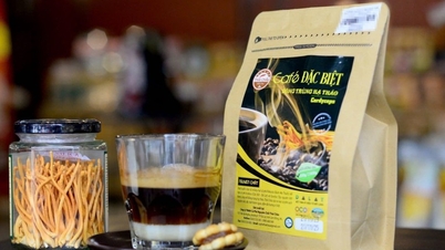 Dự báo giá cà phê ngày mai 31/1/2025 chạm mốc 128.000 đồng/kg